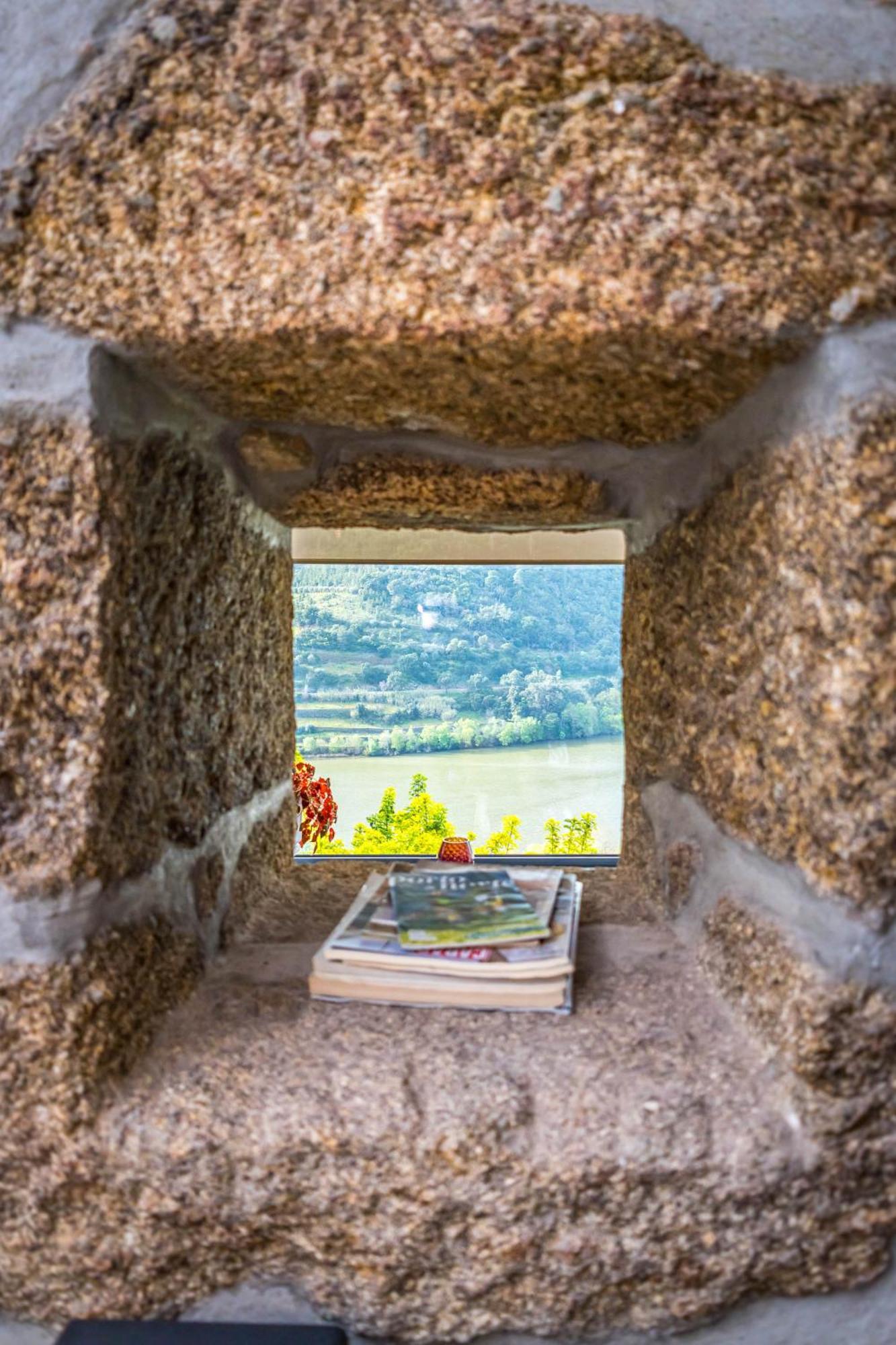 Fraga Douro House, Douro Valley レゼンデ エクステリア 写真