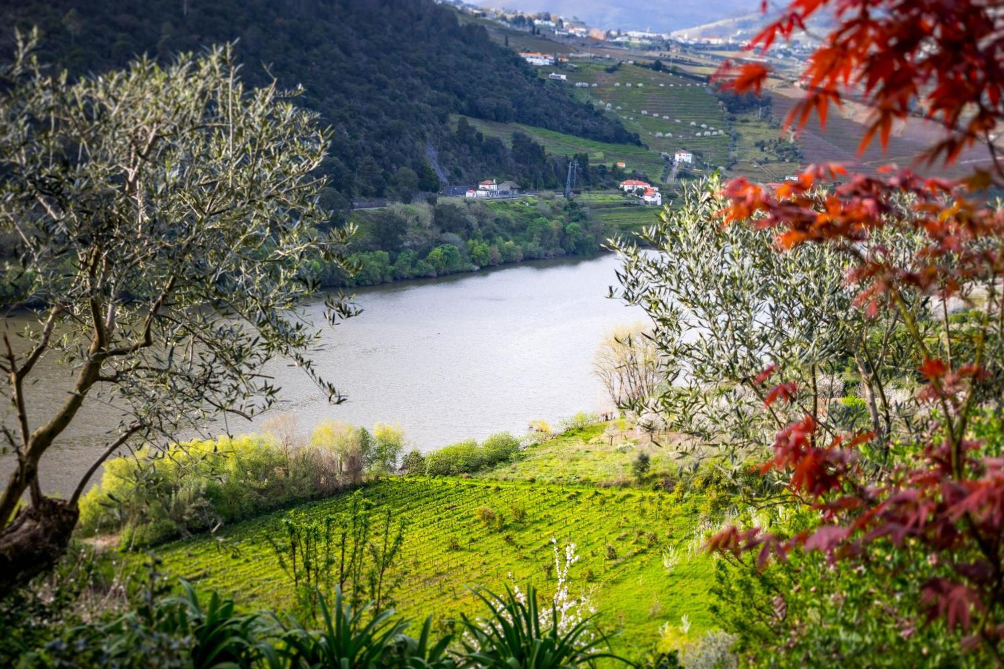 Fraga Douro House, Douro Valley レゼンデ エクステリア 写真